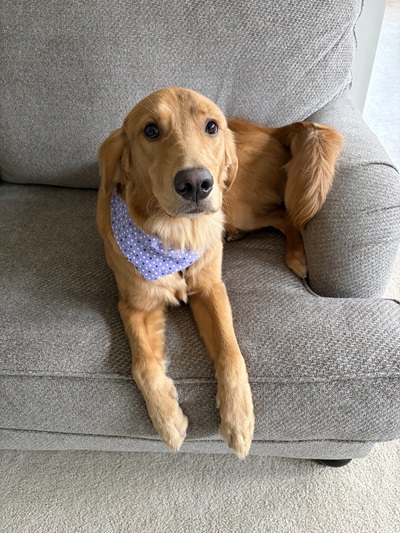 bella24194 foster8