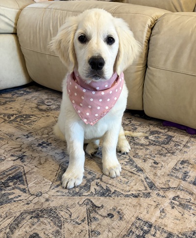 emma26052 foster2