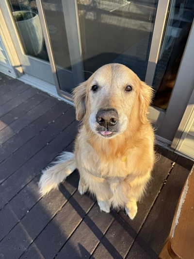 fynn25097 foster1