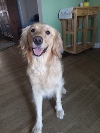 sophie26020 1