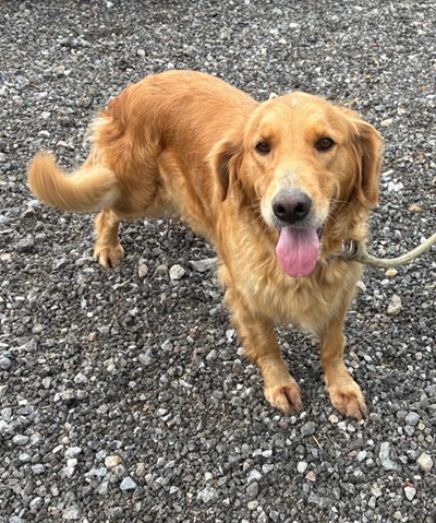 ellie26090 1